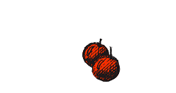 Fattoria Le Ceregne Toscana